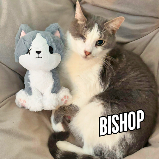Bishop Charity Cat plush