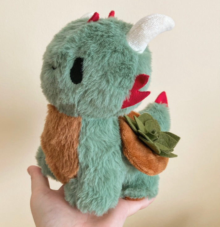 succulent dragon Baby Succulent Dragon