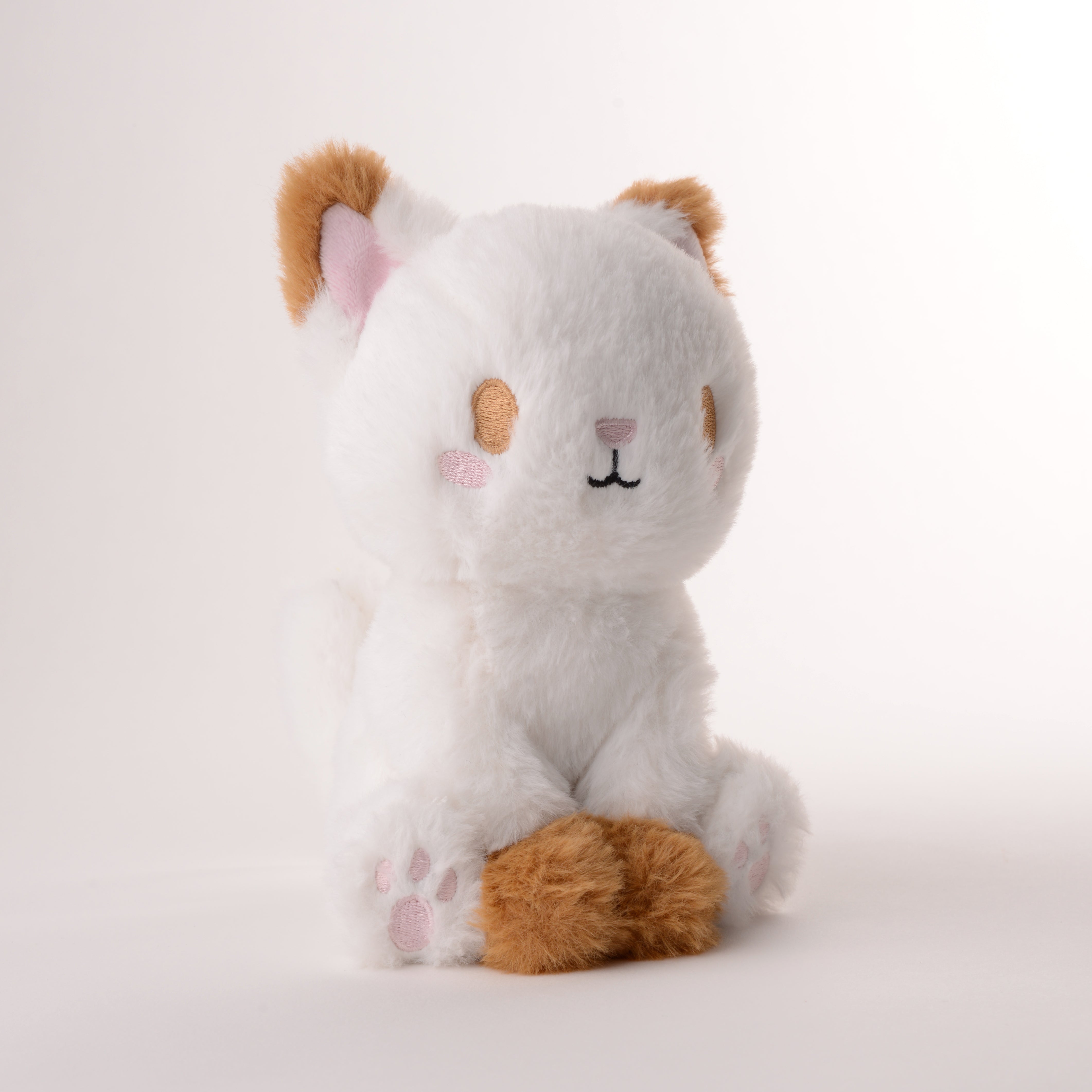 Vanilla Koffee Kitten